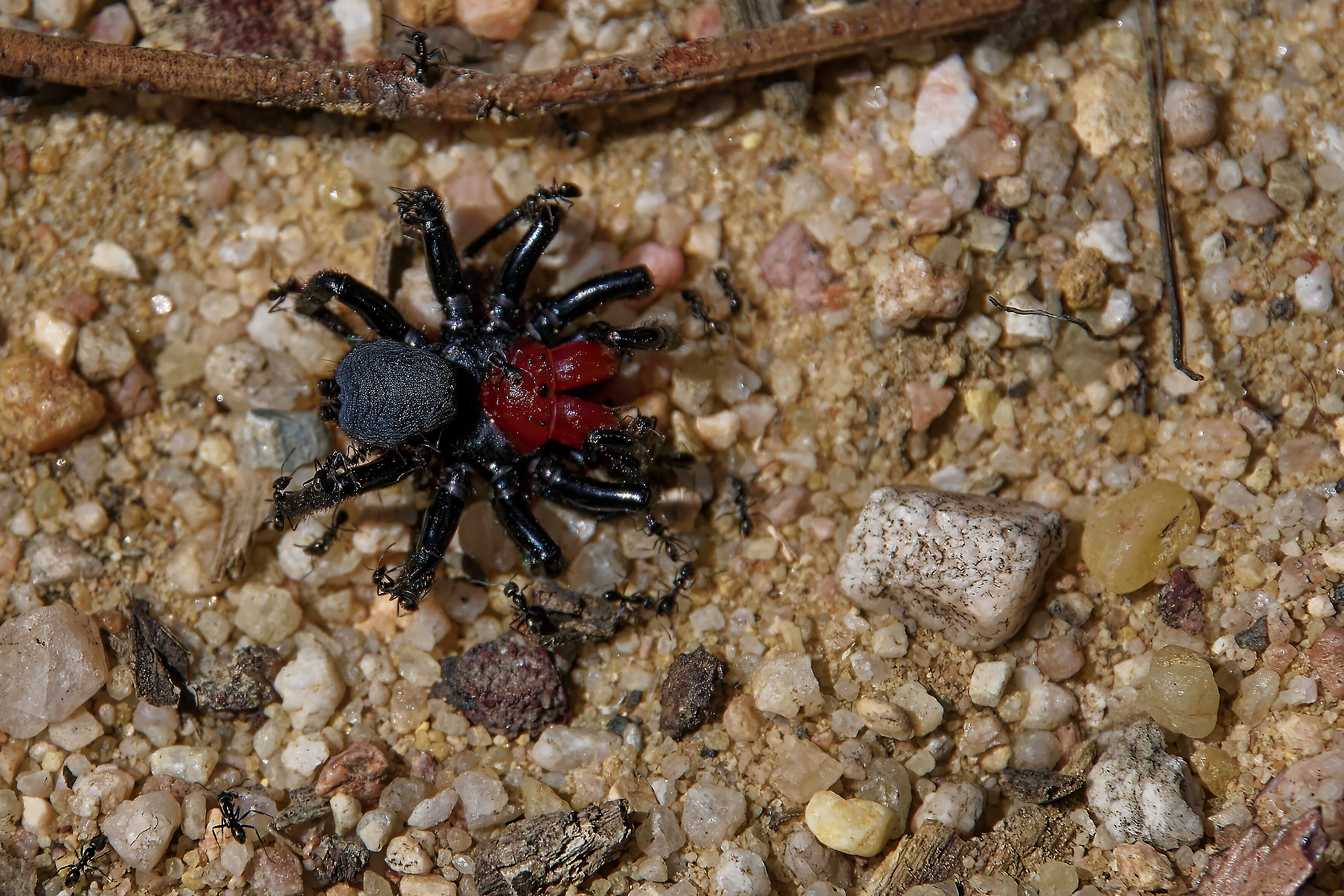 Recycling in progress