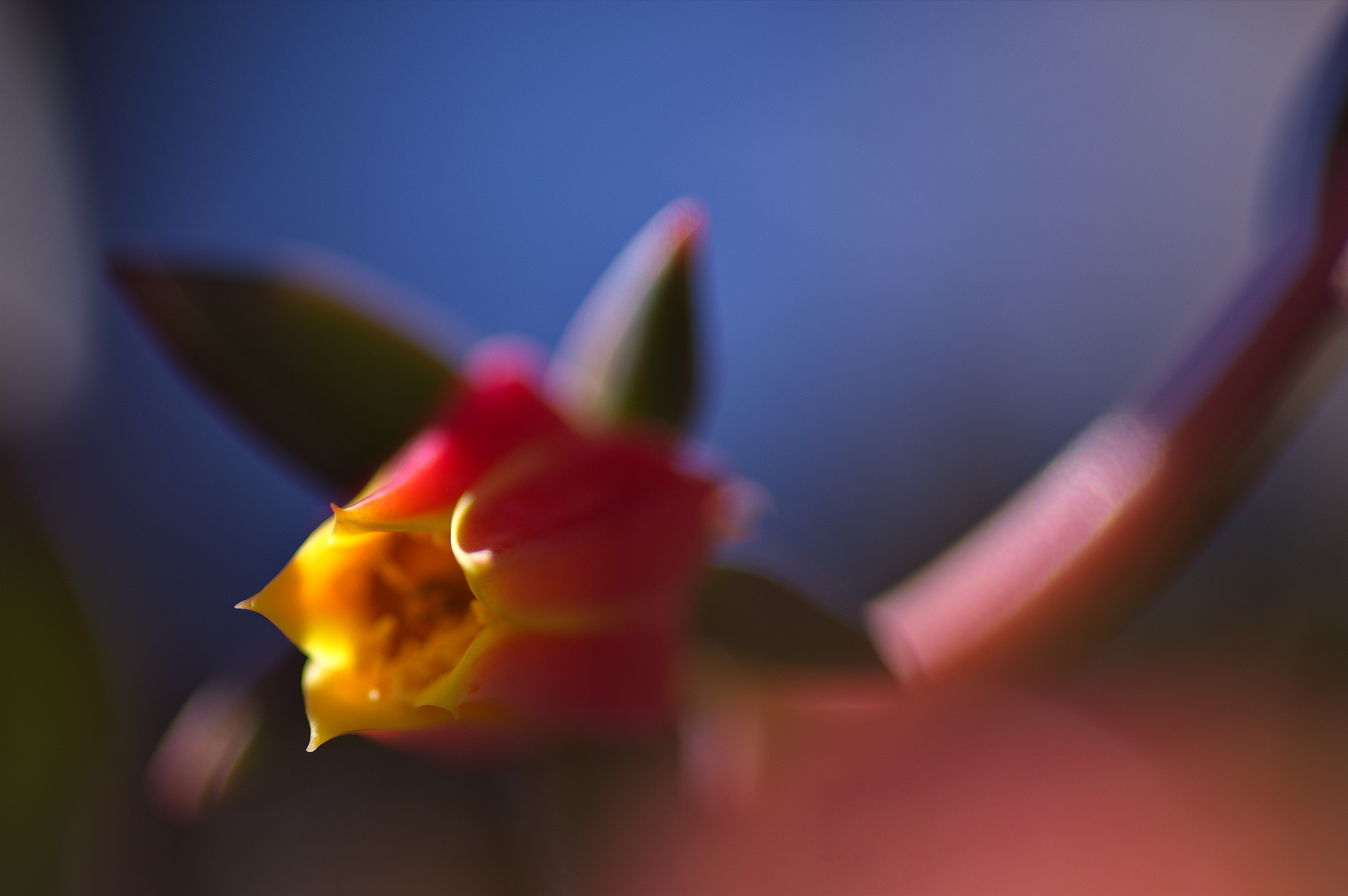 07 September 2021 47