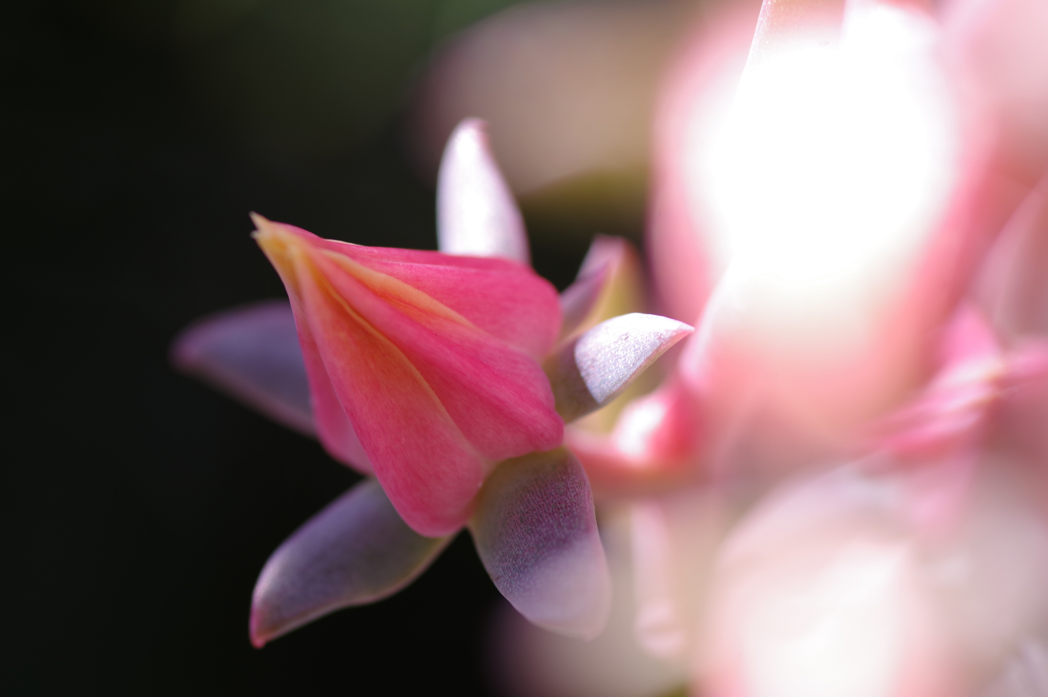 07 September 2021 48