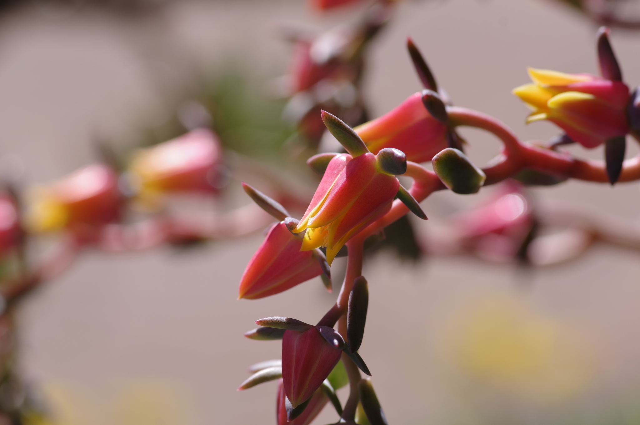 07 September 2021 50