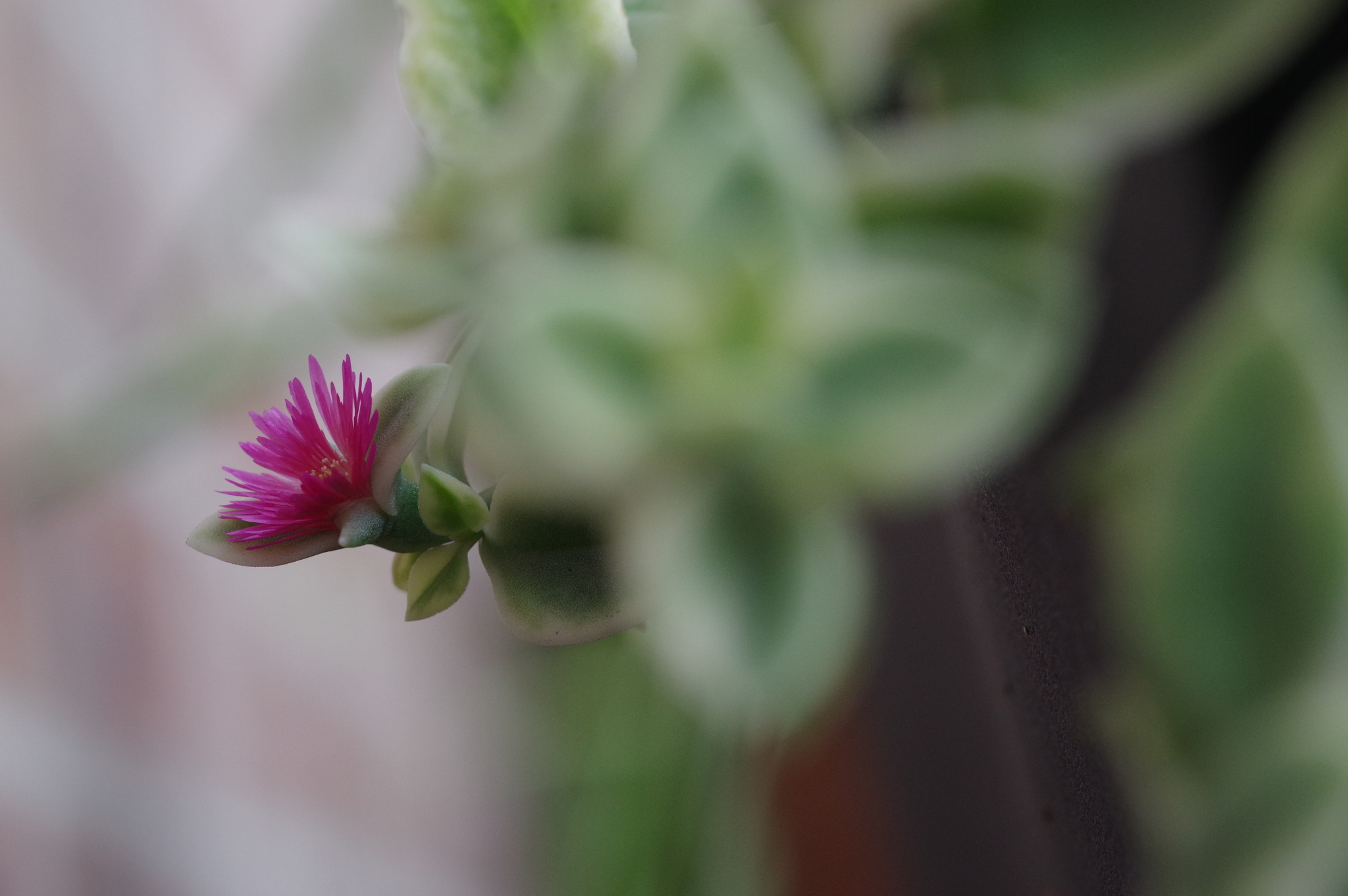 08 September 2021 51