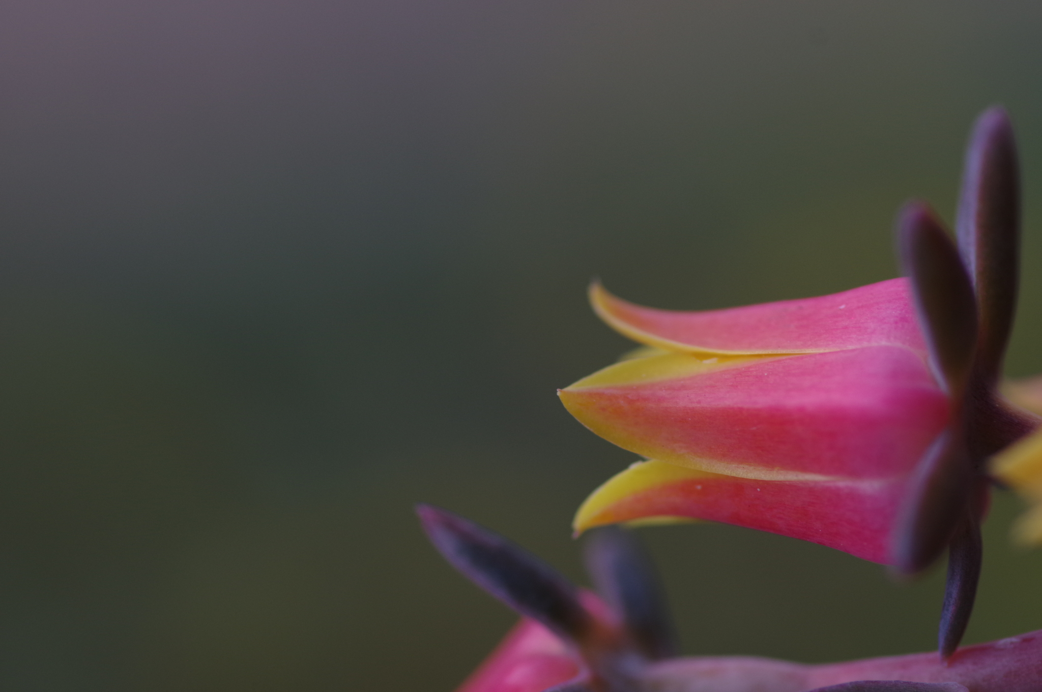 08 September 2021 53