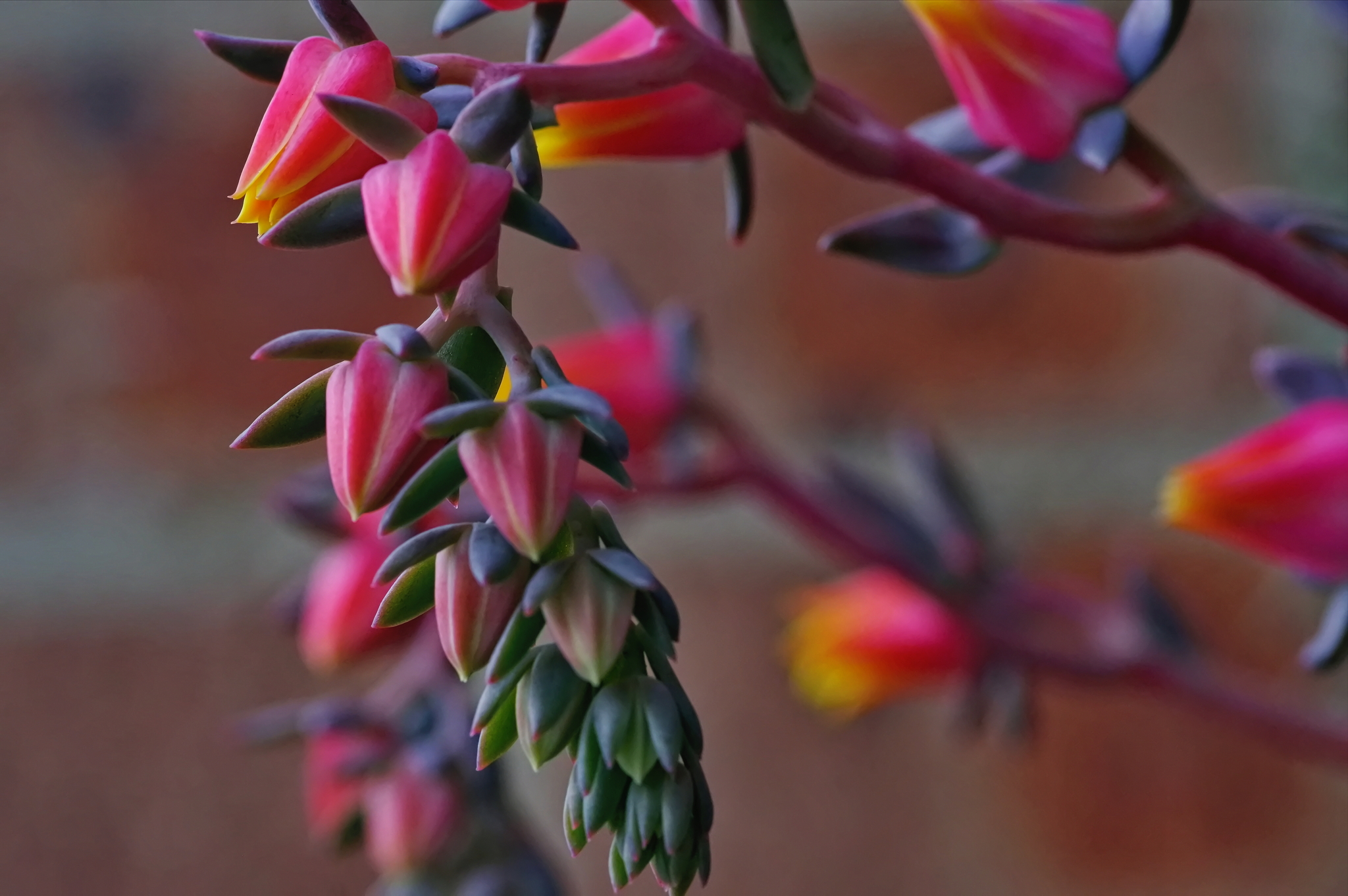 08 September 2021 71