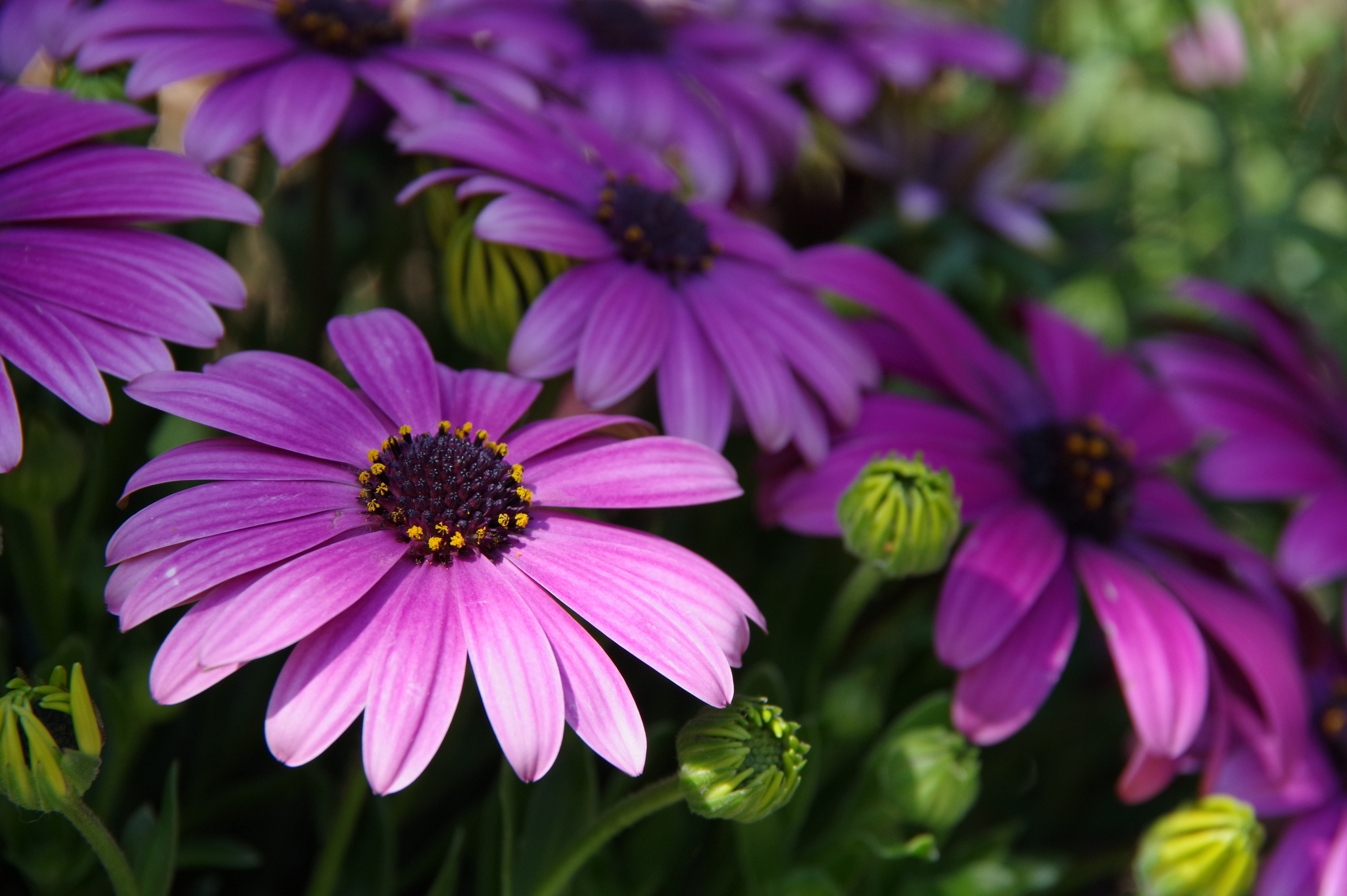 11 September 2019 32