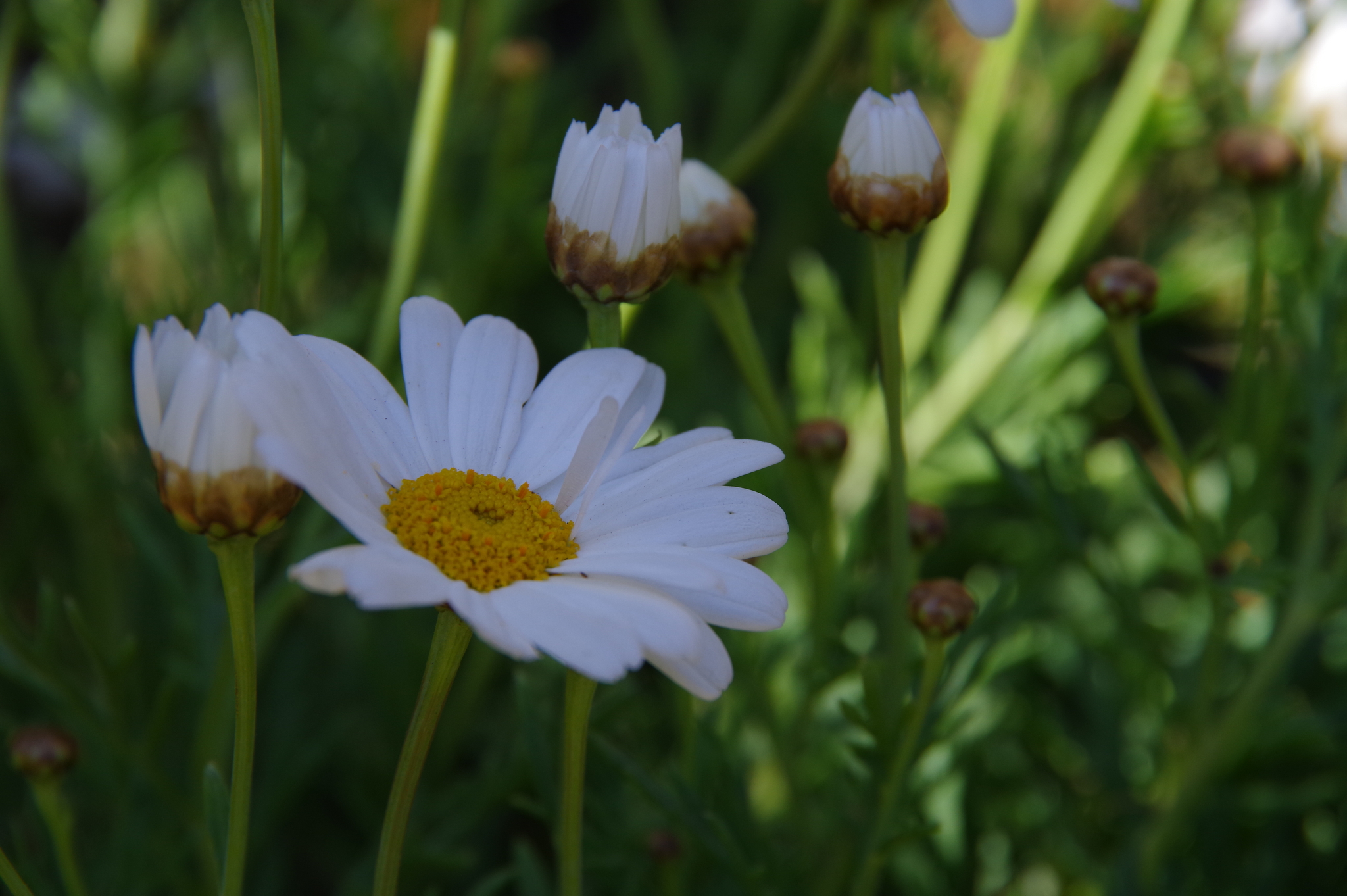 11 September 2019 33