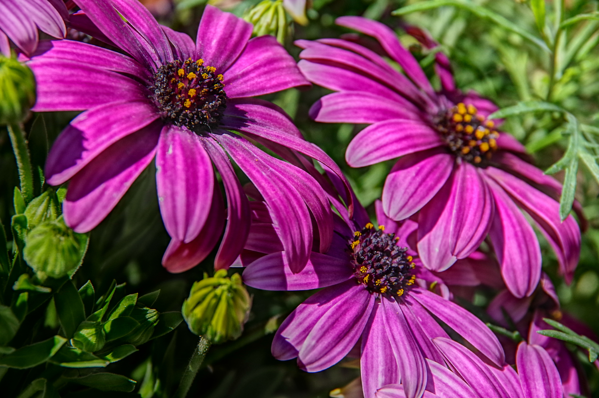 11 September 2019 34