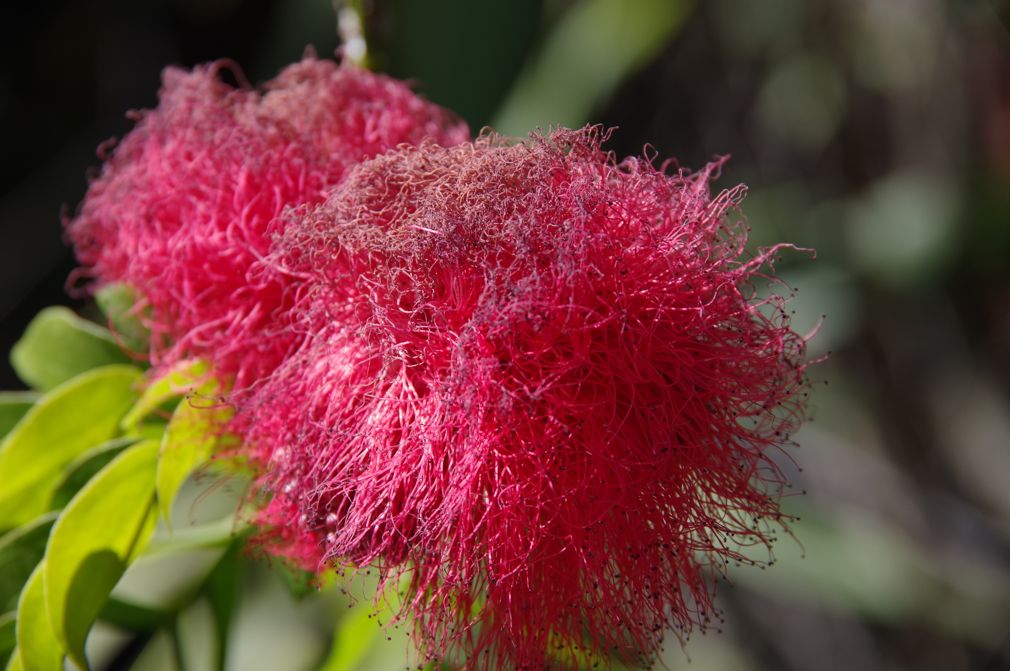 11 September 2019 35