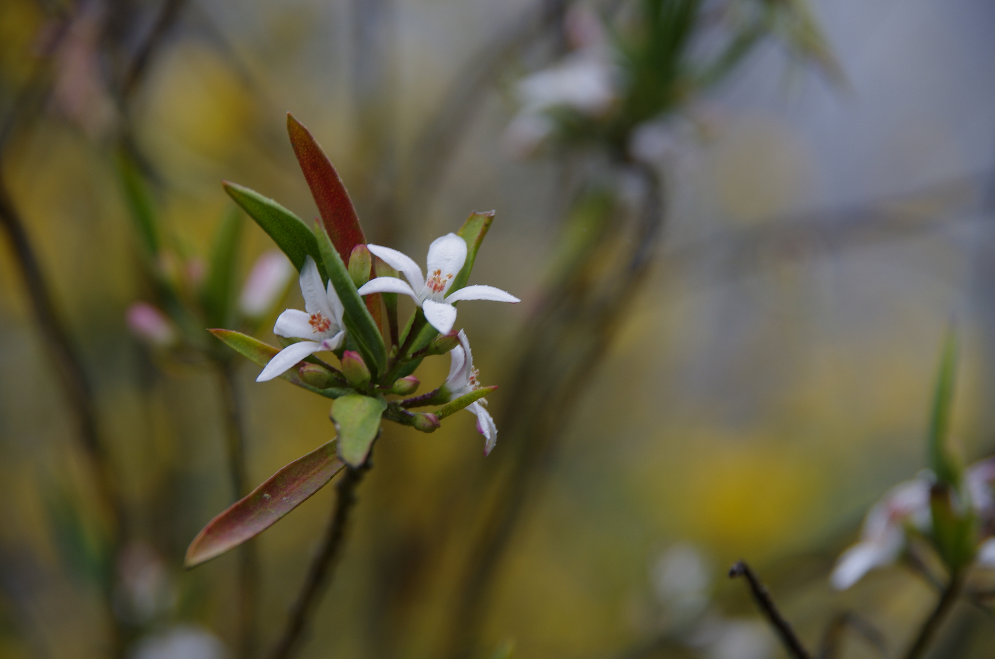 24 September 2011 06