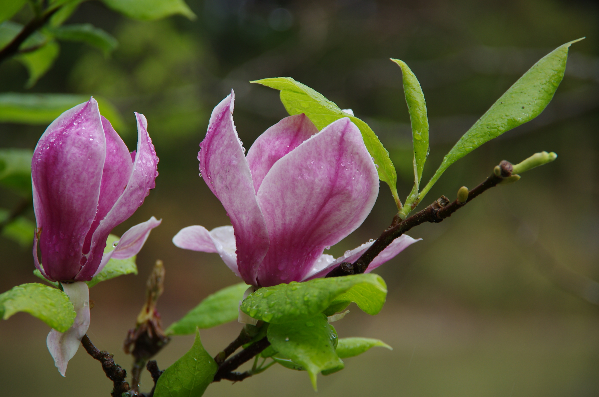 25 September 2011 07