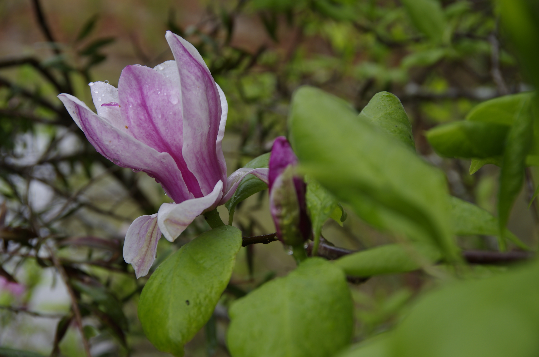 25 September 2011 08